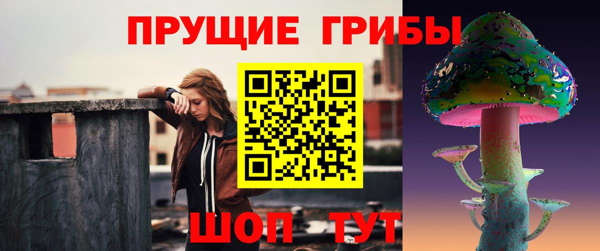 Галлюциногенные грибы мухоморы  Галлюциногенные грибы GOLDEN TEACHER  Зеленогорск  Вход с VPN 
